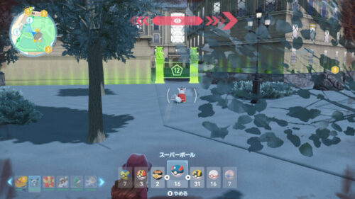 しゃがんでデリバードにボールを投げる